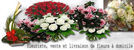 echantillons de fleurs